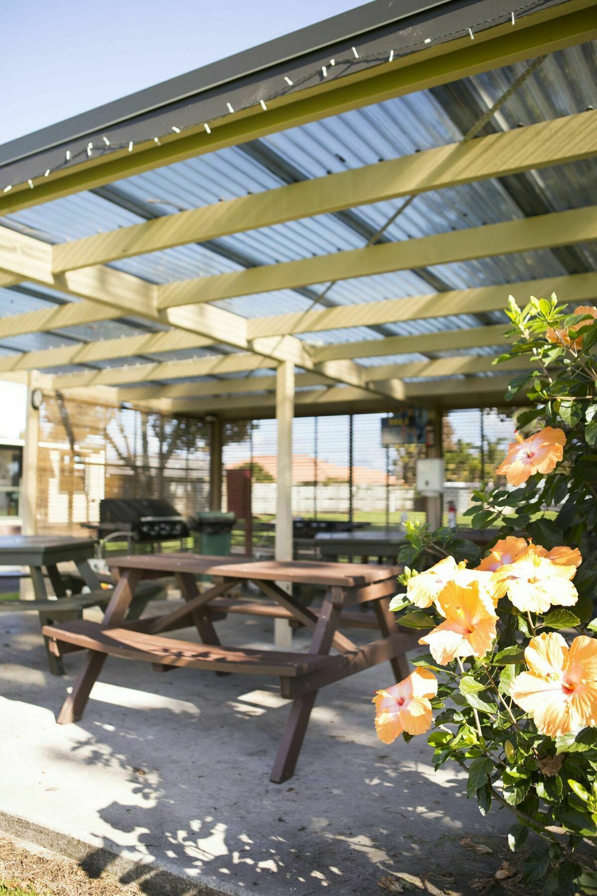 Mercury Bay Holiday Park Whitianga Bagian luar foto
